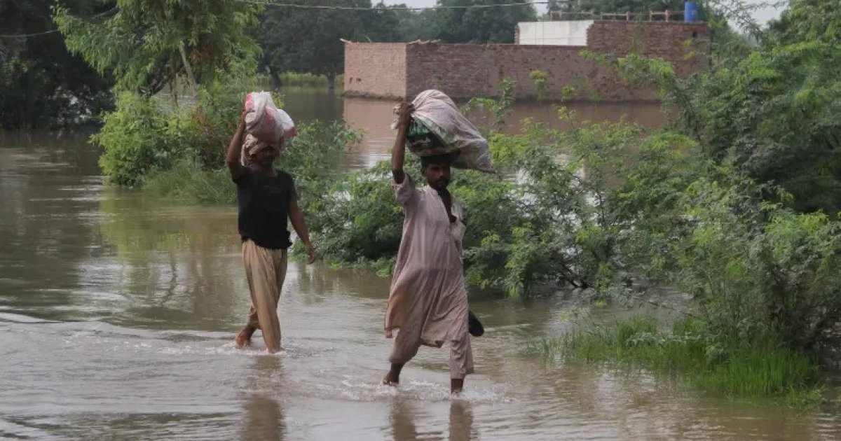 মৌসুমী বৃষ্টিতে পাকিস্তানের পাঞ্জাবে বন্যা, বিপর্যস্ত লাখো মানুষ