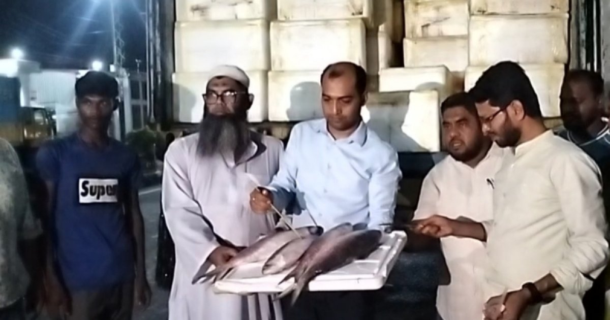 এক কেজি সাইজের ইলিশ ১৫০০ টাকা দরে ভারতে রফতানি শুরু
