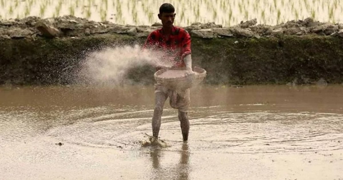 সার কারখানায় ব্যবহৃত গ্যাসের দাম বাড়ানোর ঘোষণা রবিবার