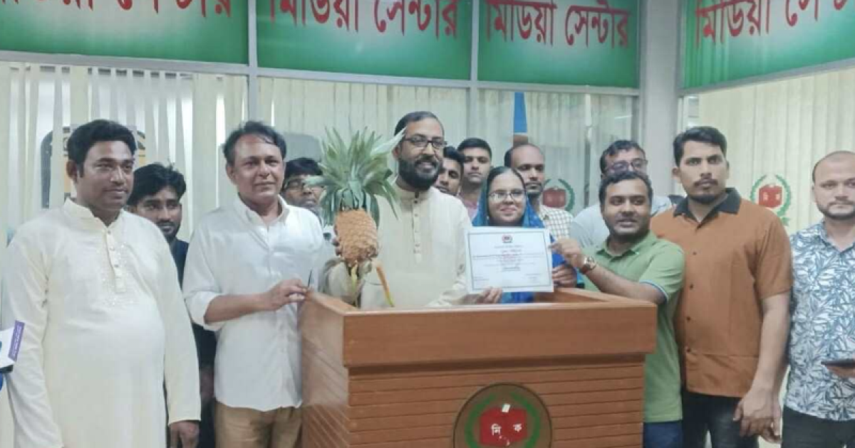 নিবন্ধন পেয়েছে লেবার পার্টি, প্রতীক আনারস