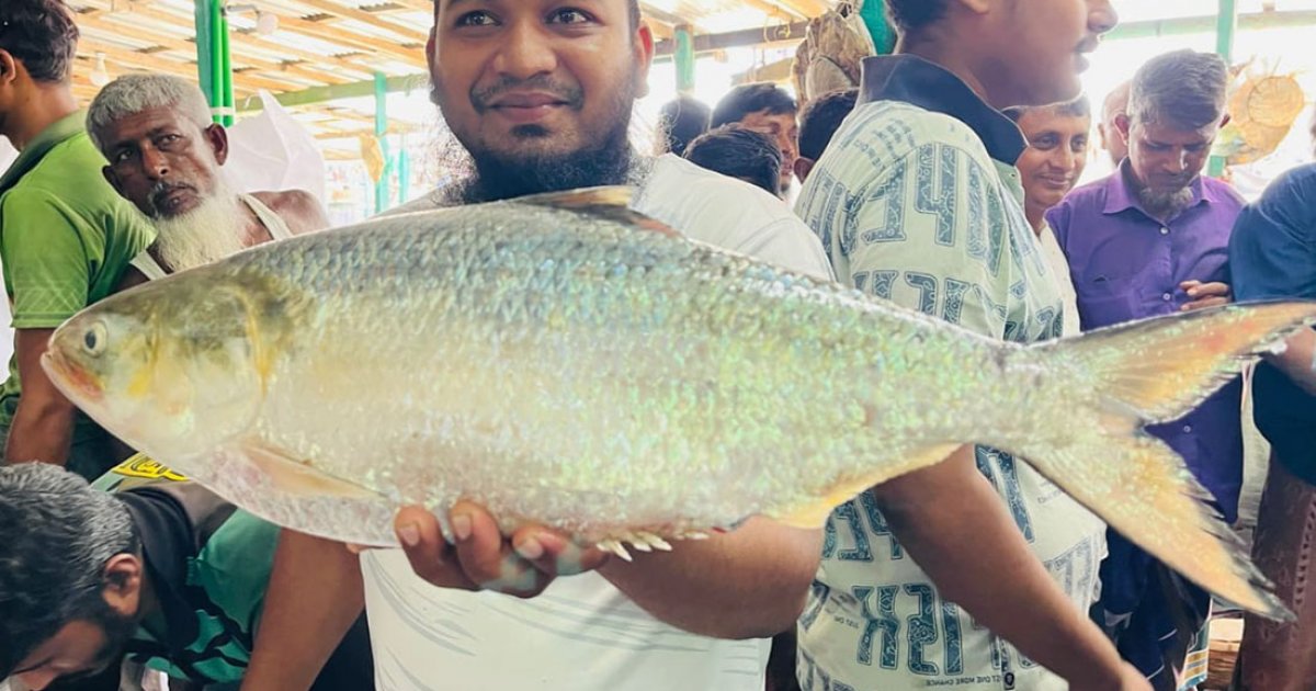 এক ইলিশের দাম ১৪ হাজার টাকা