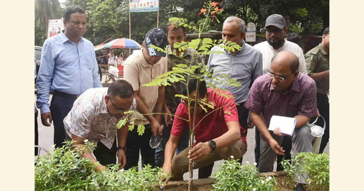 ডিএসসিসির ৩১ কিলোমিটার রোড মিডিয়ানে বৃক্ষরোপণ উদ্বোধন