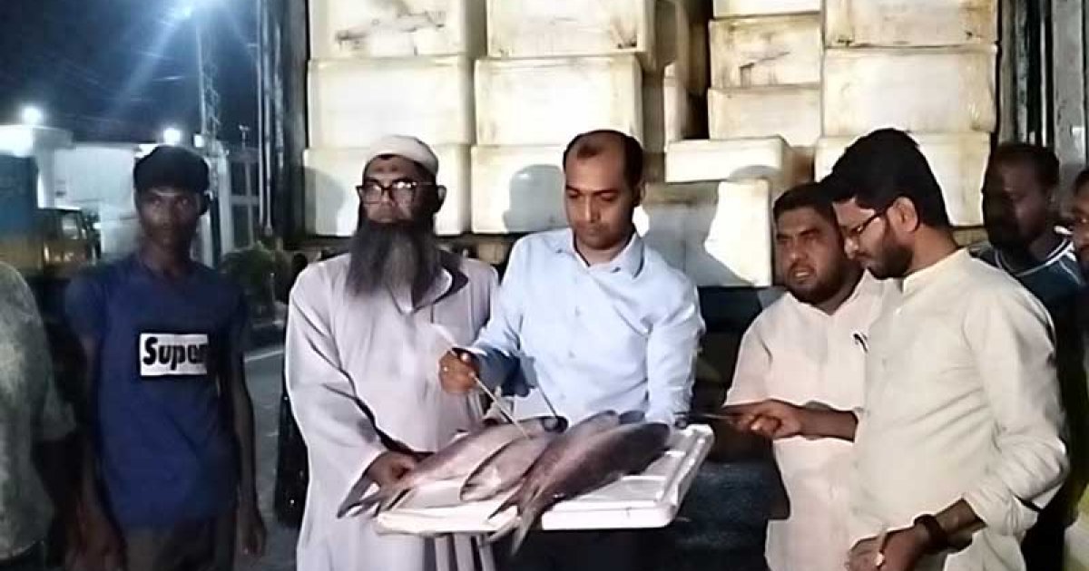 বেনাপোল দিয়েই ৭ দিনে ভারতে গেলো এক লাখ কেজি ইলিশ