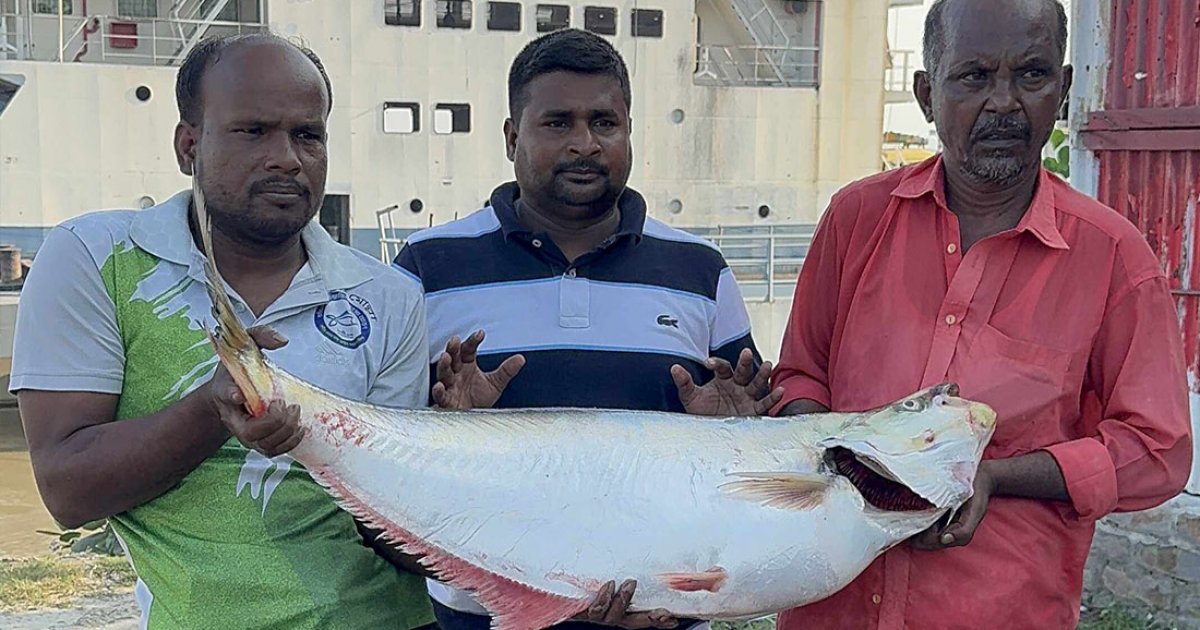 পদ্মার এক ঢাঁই মাছ ৫৯ হাজার টাকায় বিক্রি