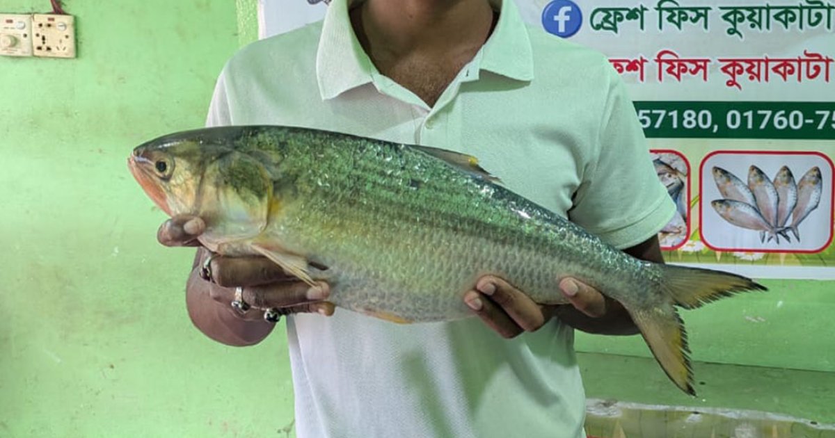 এক ইলিশের দাম ৯ হাজার টাকা