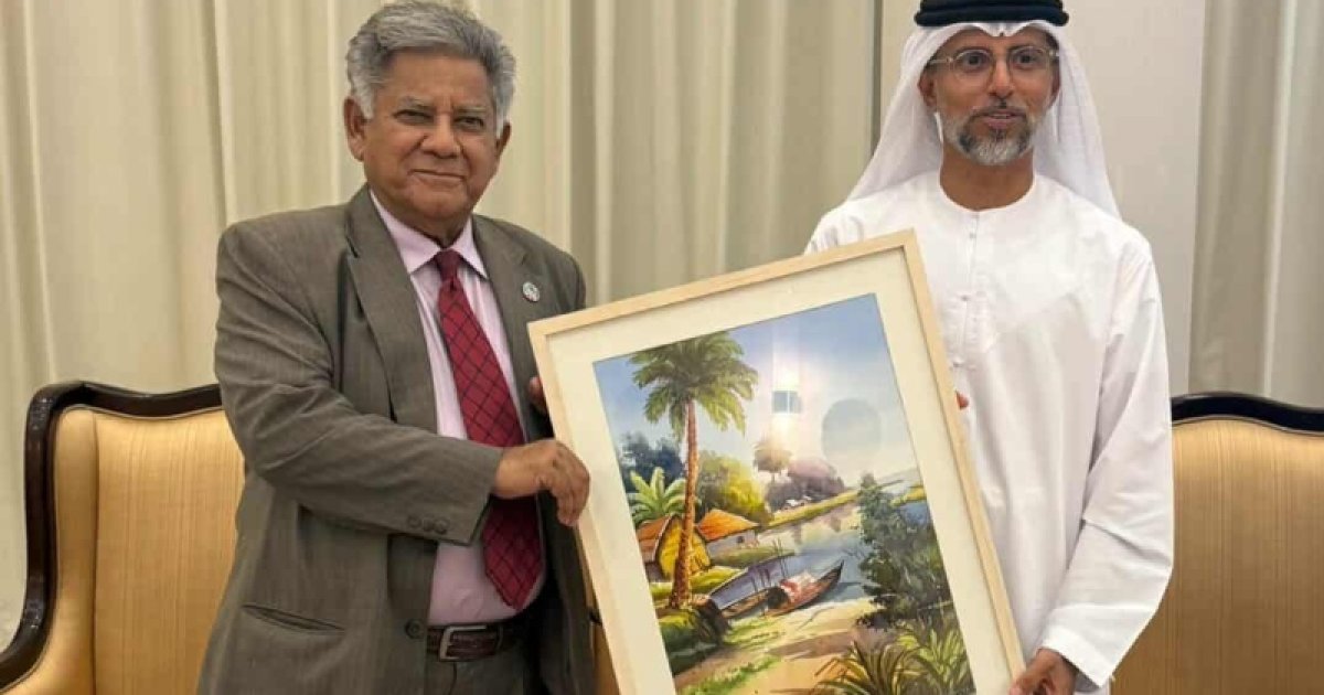 আমিরাতের জ্বালানি ও অবকাঠামো মন্ত্রীর সঙ্গে নৌপরিবহন উপদেষ্টার বৈঠক