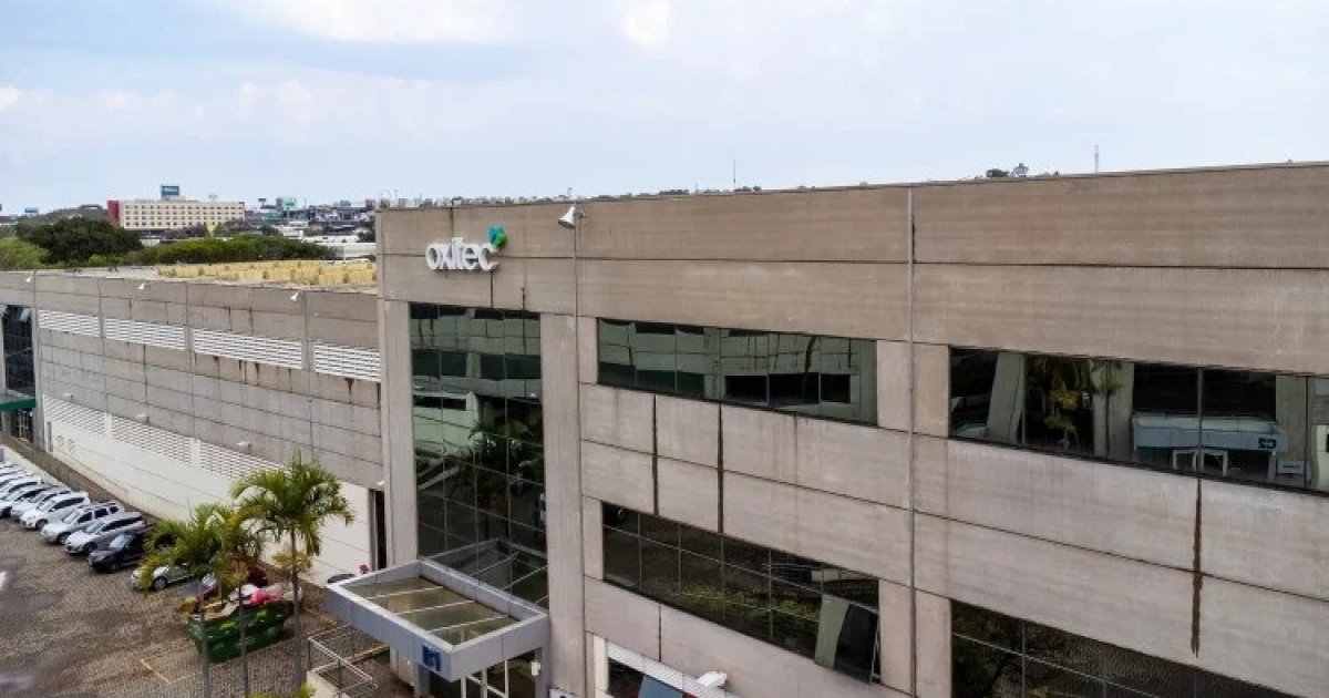 মশা দিয়ে ডেঙ্গু ঠেকাতে ব্রাজিলে চালু বৃহত্তম ‘মশা কারখানা’