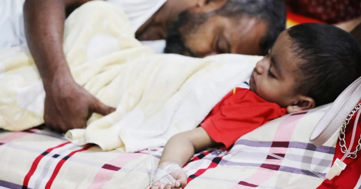 বাড়ছে ডেঙ্গু, তিন মাসের তুলনায় অক্টোবরে আক্রান্ত বেশি