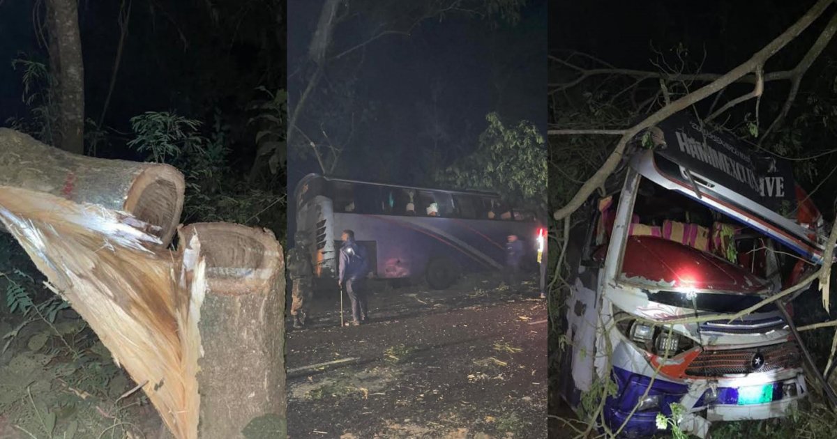 গোপালগঞ্জে গাছ ফেলে মহাসড়ক অবরোধ আ.লীগের, দেড় ঘণ্টা যান চলাচল বন্ধ