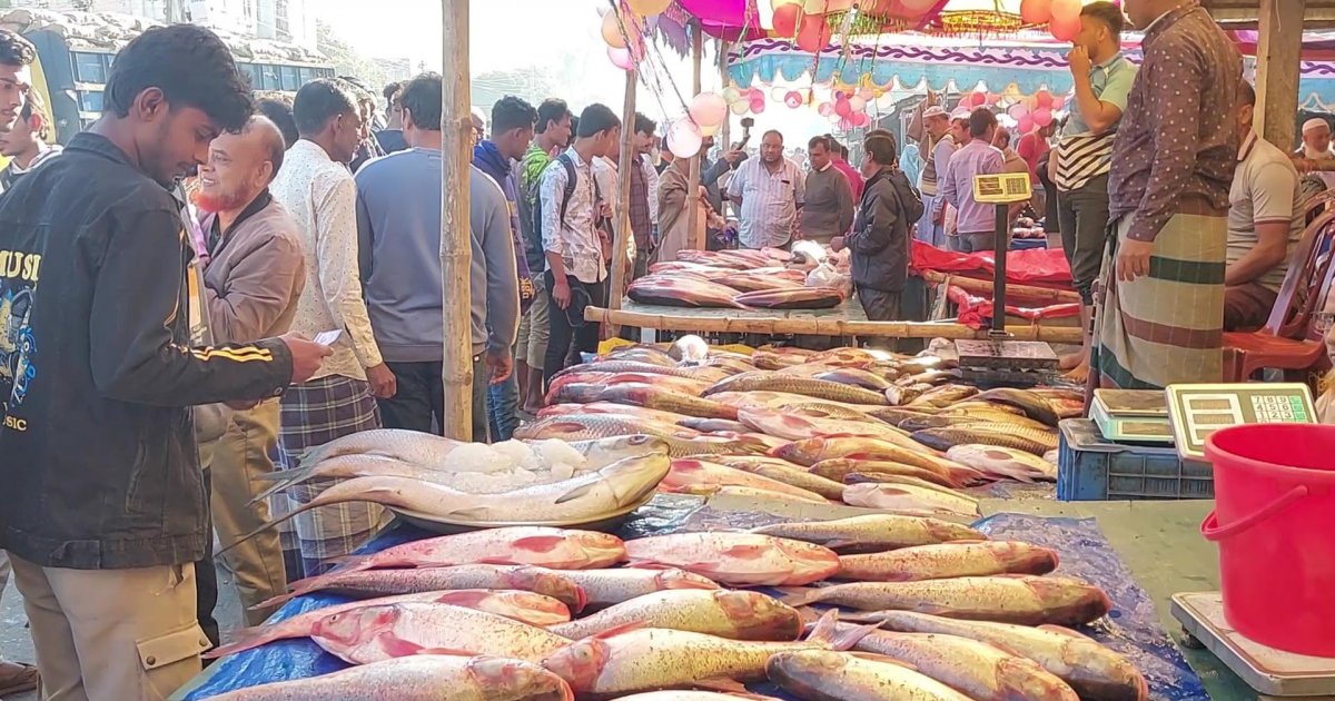 জামাই মেলায় একদিনে কোটি টাকার মাছ বিক্রি