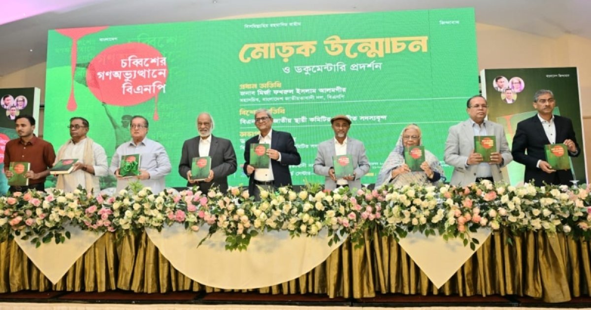 ‘মব ভায়োলেন্স’ থেকে সরে আসতে হবে: মির্জা ফখরুল