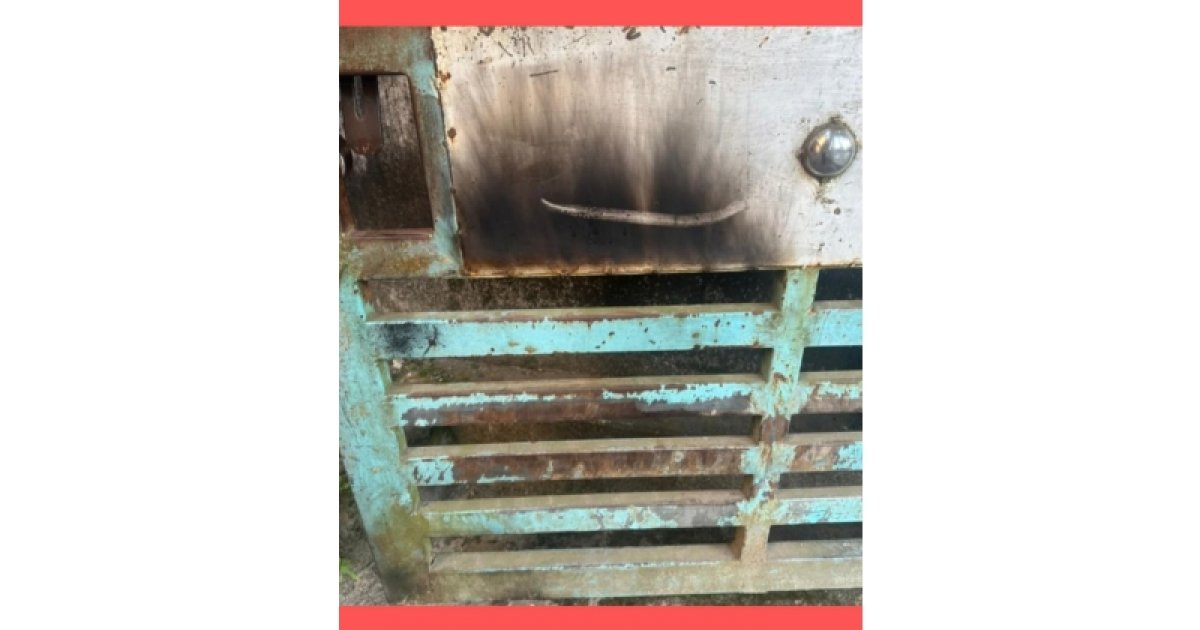 ডাকসু নেত্রীর বাড়ির গেটে ককটেল বিস্ফোরণ