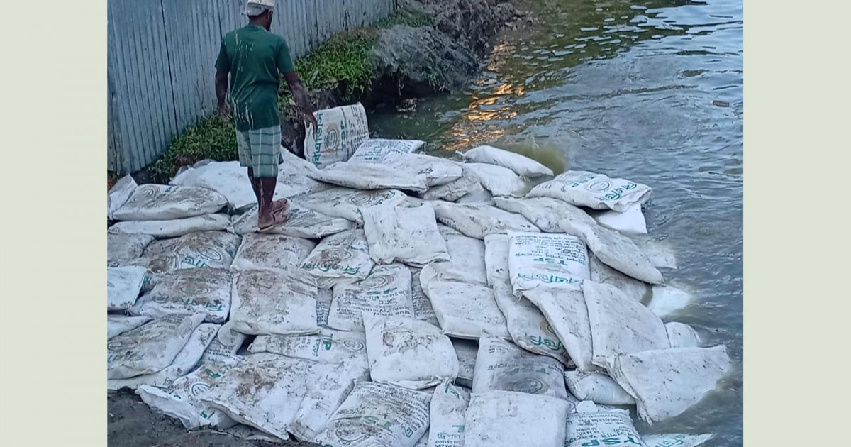 মাটিচাপা দেওয়া হলো অর্ধ কোটি টাকা মূল্যের সার