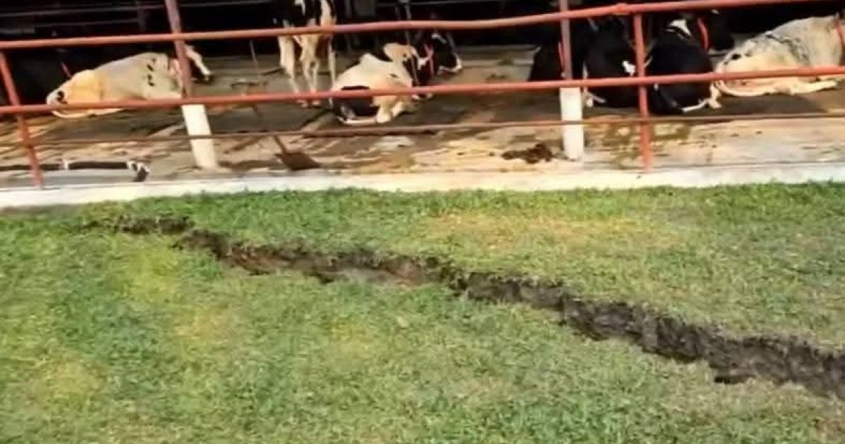 ভূমিকম্প হলে করণীয় কী, জানালো ফায়ার সার্ভিস