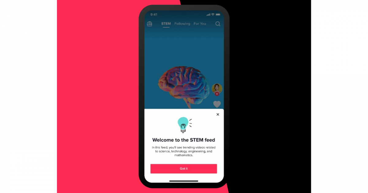 টিকটকের স্টেম ফিড: সবার জন্য শেখার একটি প্ল্যাটফর্ম