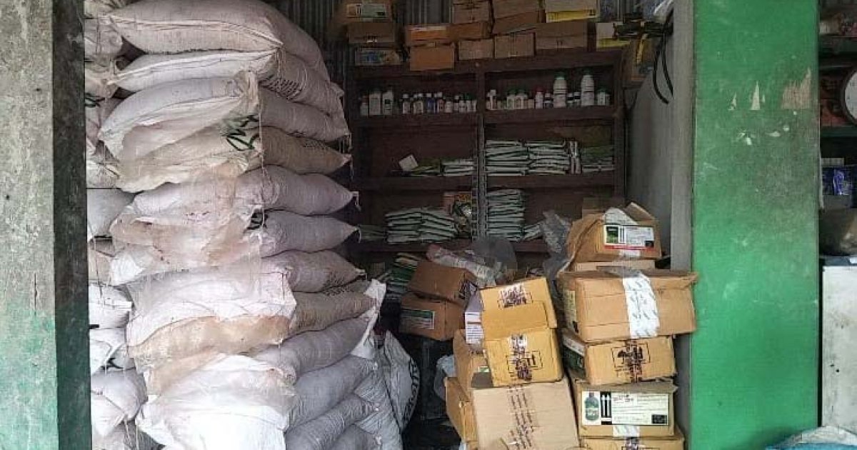 সিন্ডিকেটের কবলে সারের বাজার, জিম্মি কৃষক