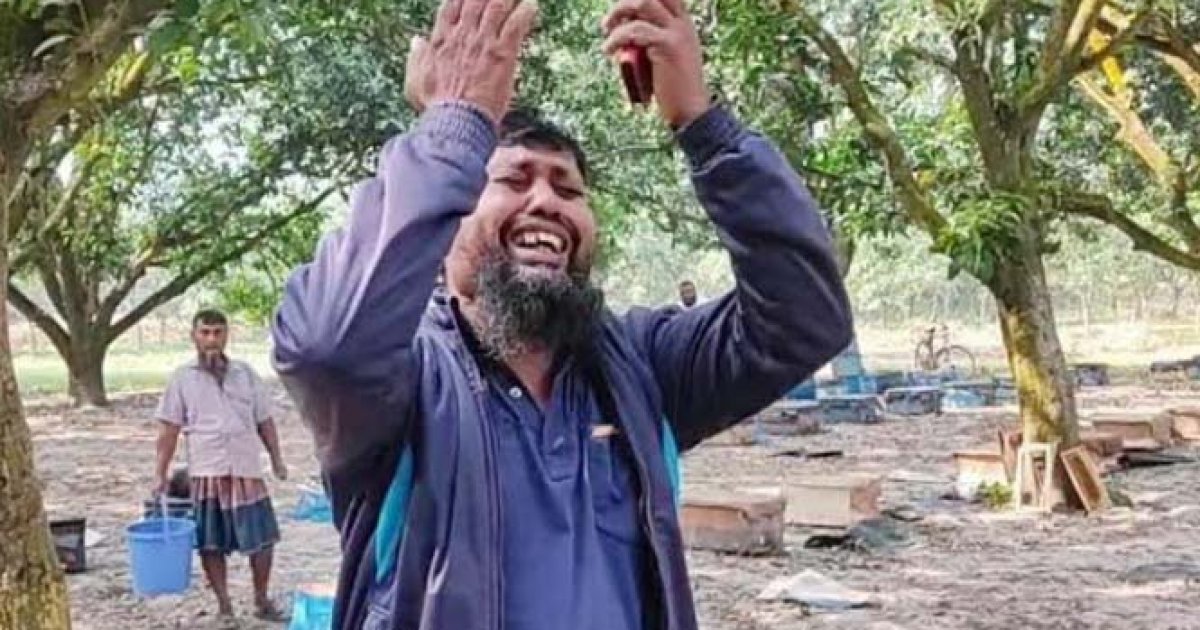 বিষ দিয়ে মৌচাষির ২০০ বাক্স মৌমাছি হত্যা