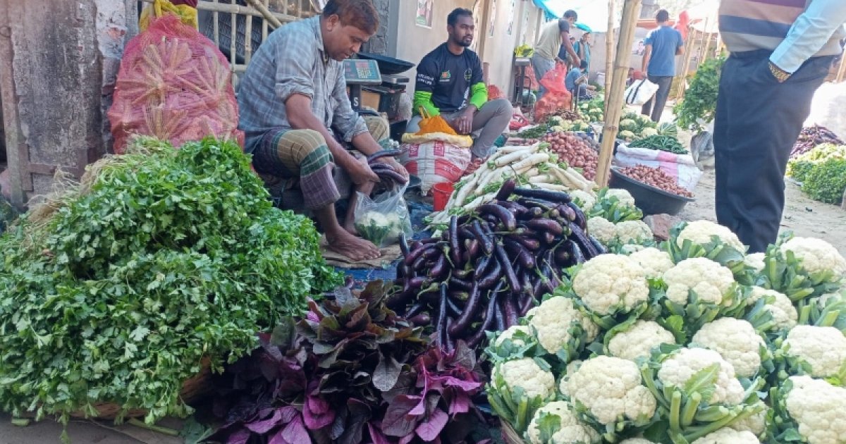 শীতের সবজিতে ভরপুর বাজার, তবু দাম বেশি