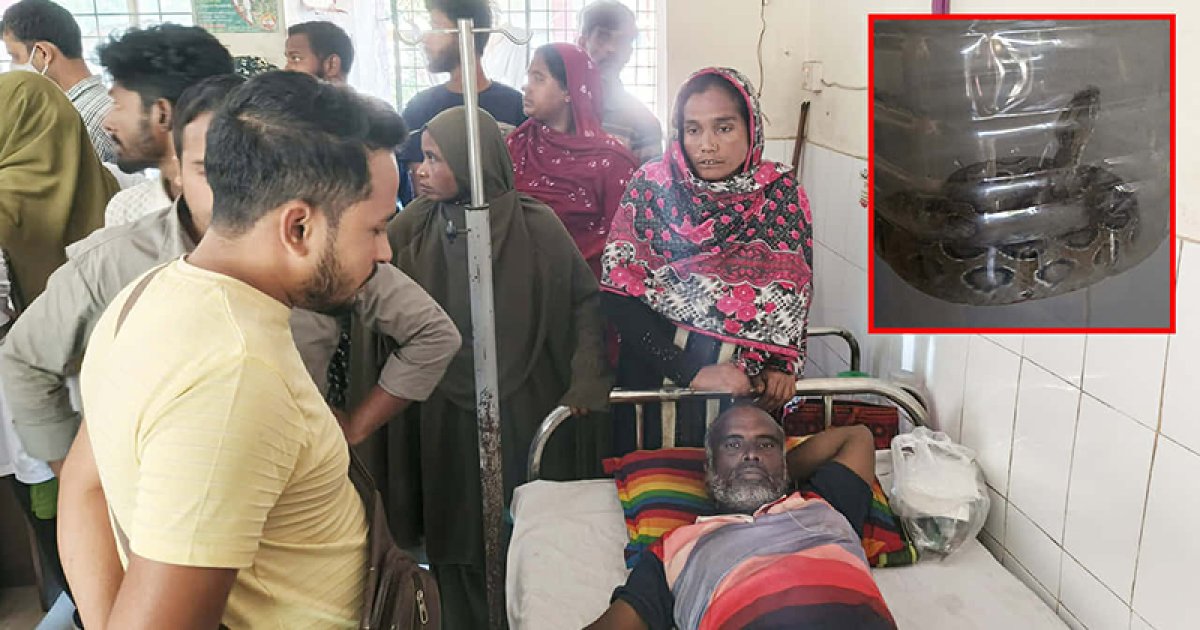 কামড় খেয়ে জীবিত রাসেলস ভাইপার নিয়ে হাসপাতালে কৃষক