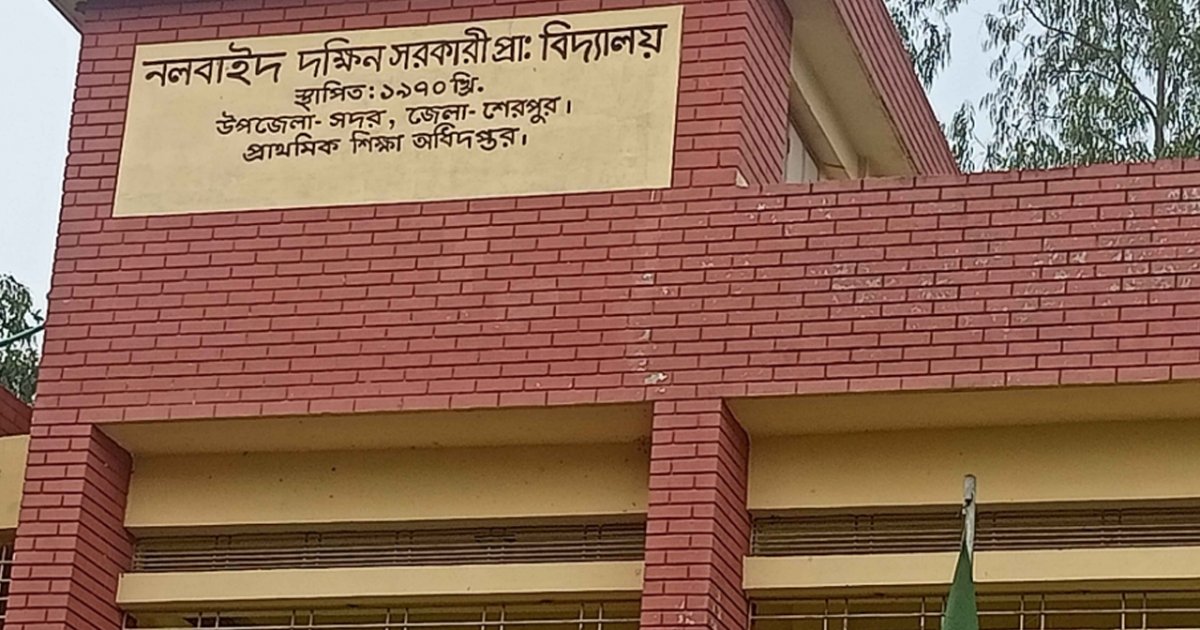 শেরপুরে নির্বাচনী কেন্দ্রে ব্যালট বই ছিনতাই, দুই যুবক আটক