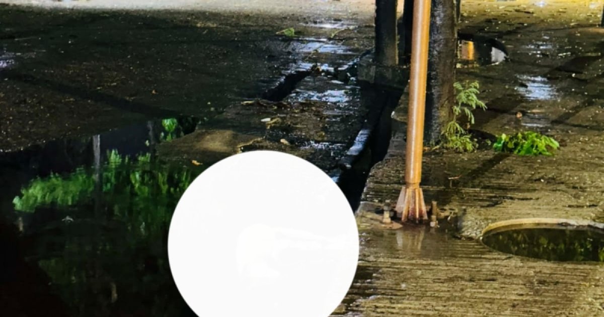 ঢাবির সূর্যসেন হলে বিদ্যুতায়িত পানিতে কুকুরের মৃত্যু, শিক্ষার্থীদের নিরাপত্তা নিয়ে উদ্বেগ