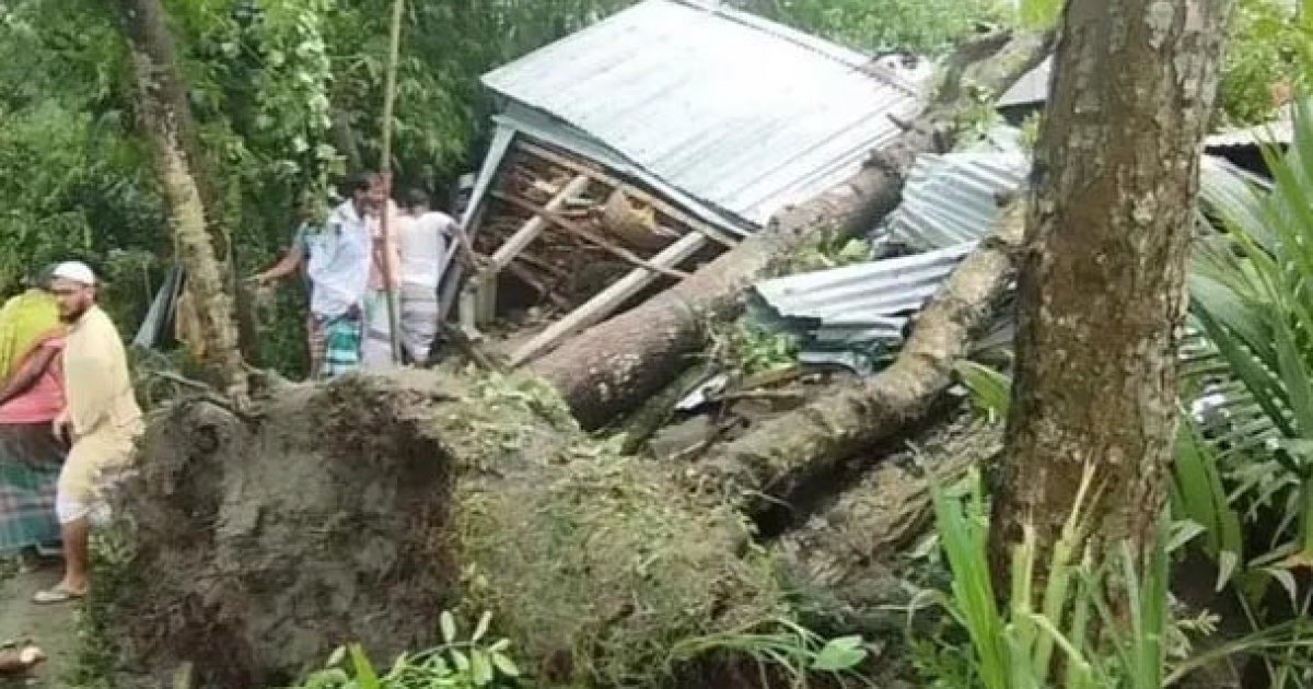 জামালপুরে কালবৈশাখী ঝড়ে মা-মেয়ের মৃত্যু