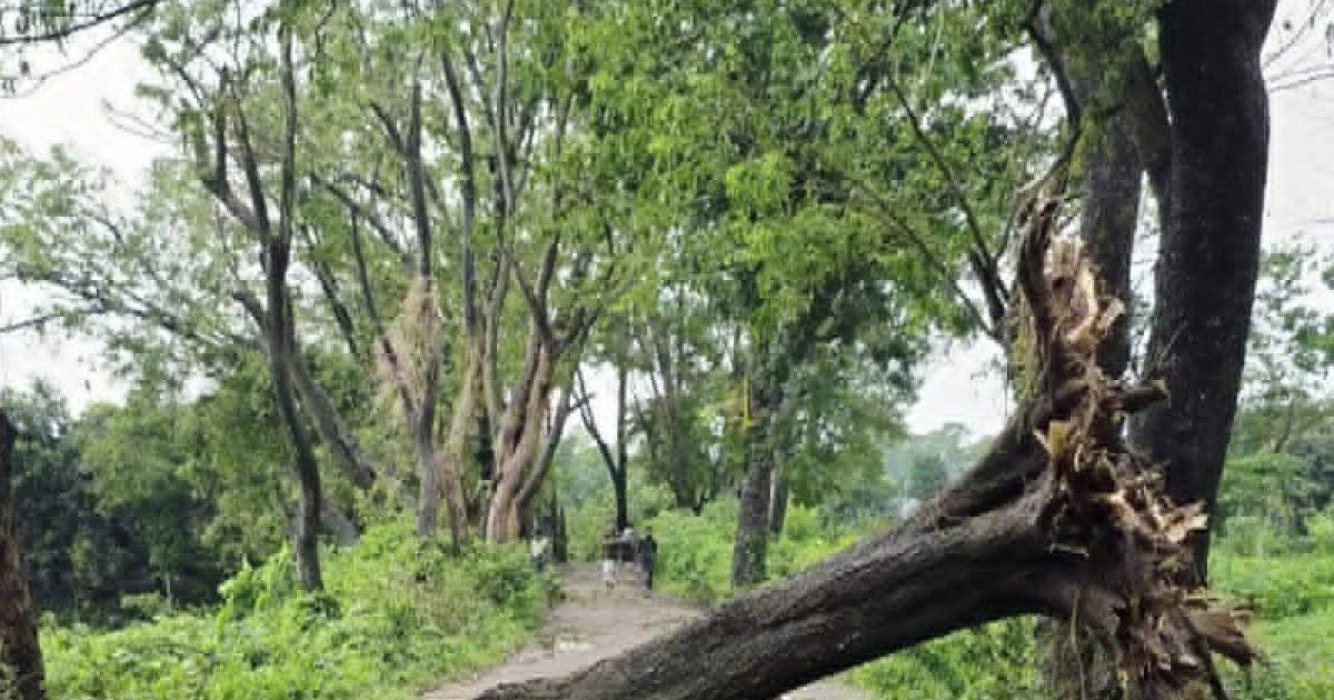 কালবৈশাখী ঝড়ে টেকনাফে বিদ্যুৎ বিপর্যয়, লাখো মানুষ অন্ধকারে