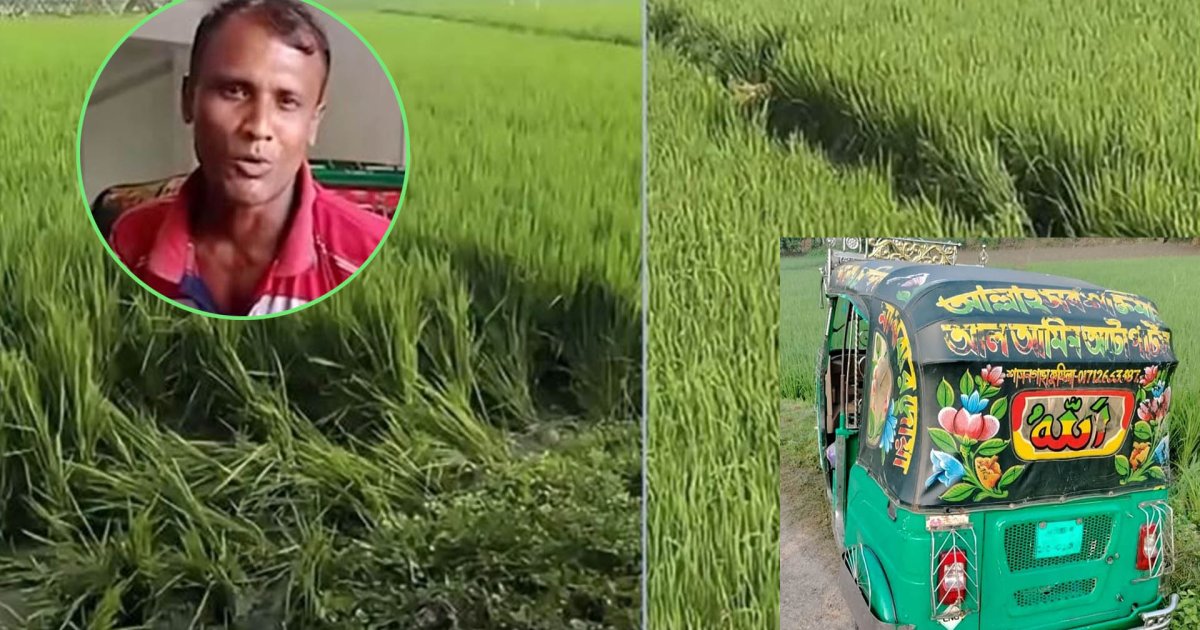 স্কুলছাত্রীকে ধর্ষণের পর হত্যা: যেসব প্রশ্নের উত্তর মেলেনি