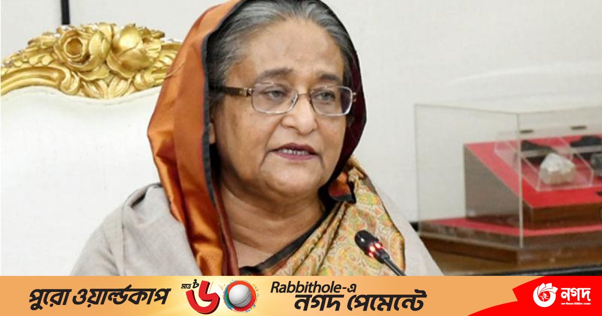 ফিলিস্তিনে জরুরি ওষুধ পাঠাতে নির্দেশ প্রধানমন্ত্রীর