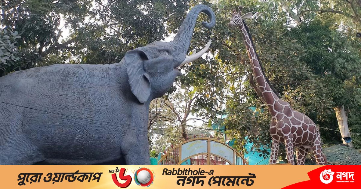 চট্টগ্রাম চিড়িয়াখানায় মারা গেলো সিংহী ‘নোভা’