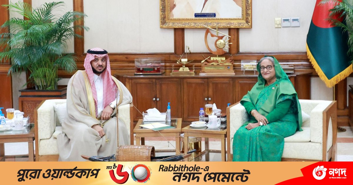 ওআইসি’র প্রতিবেশীদের মধ্যে সমস্যা সমাধানে সংলাপে জোর প্রধানমন্ত্রীর
