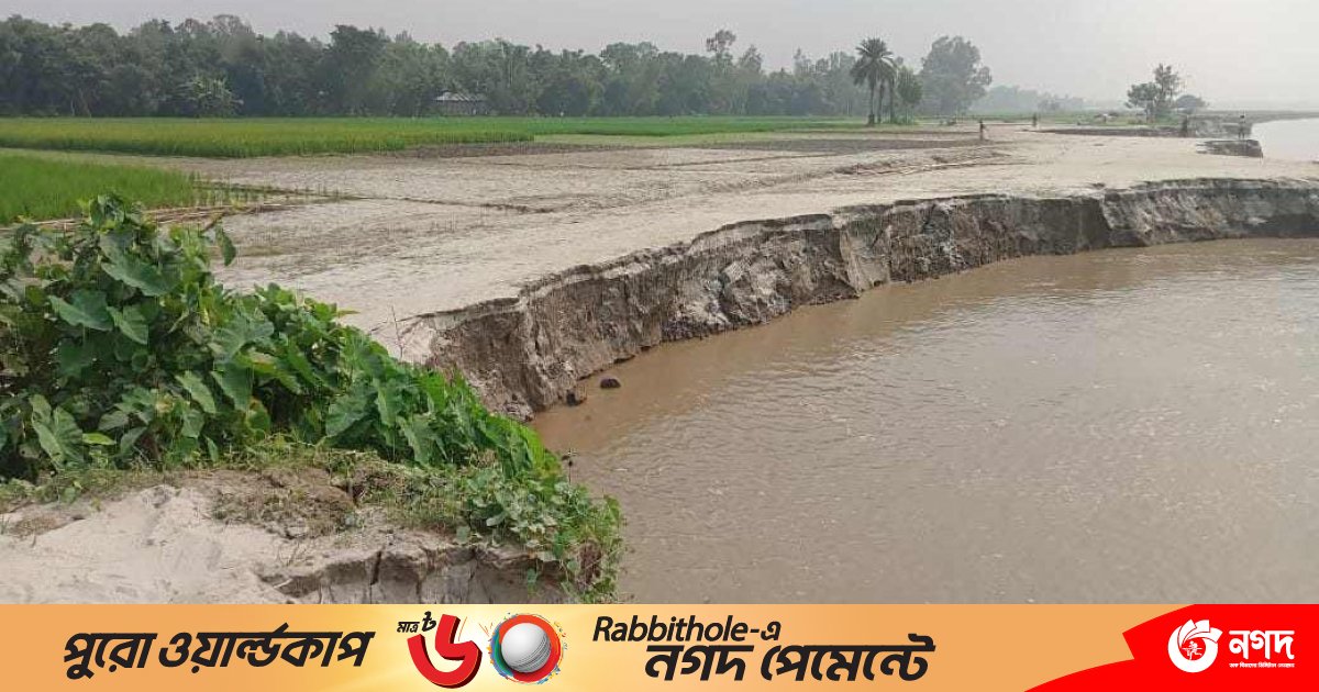 সানন্দবাড়ীতে অসময়ের ভাঙনে ব্রহ্মপুত্রের গর্ভে ঘরবাড়ি-ফসলি জমি