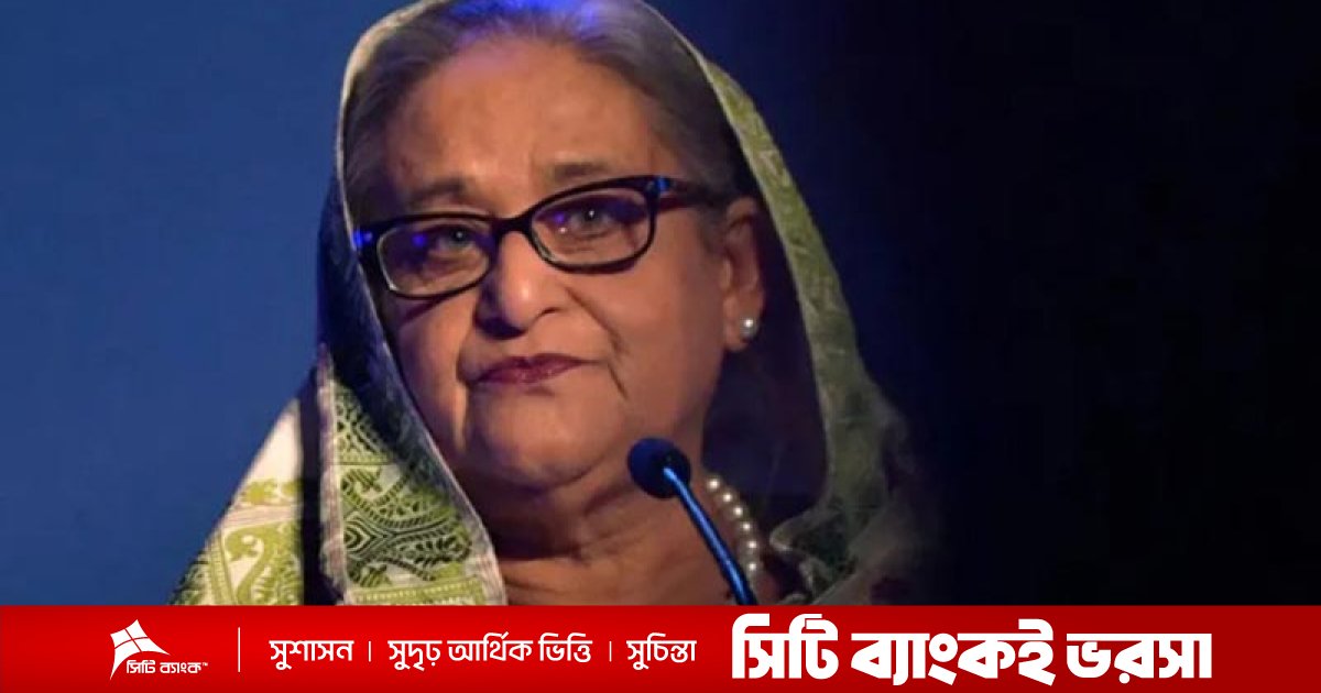 অডিও ফাঁস: শেখ হাসিনার পদত্যাগ নিয়ে সোশ্যাল মিডিয়ায় ‘বিভ্রান্তি’