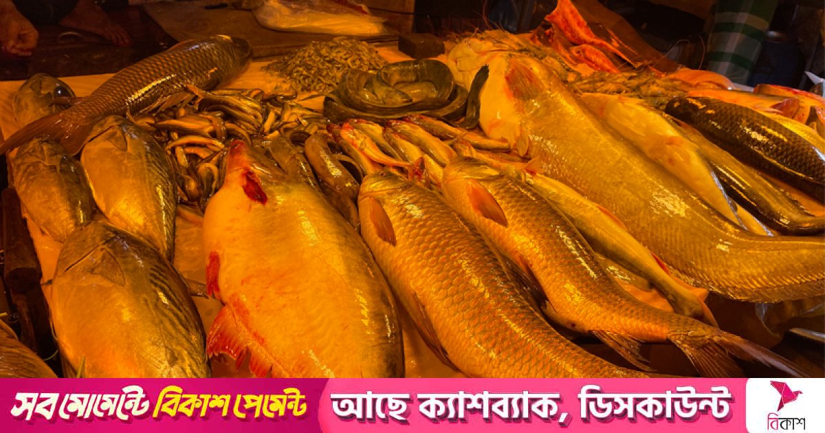 ভুগছে মধ্যবিত্ত, আরও কষ্টে আছে নিম্নবিত্তরা