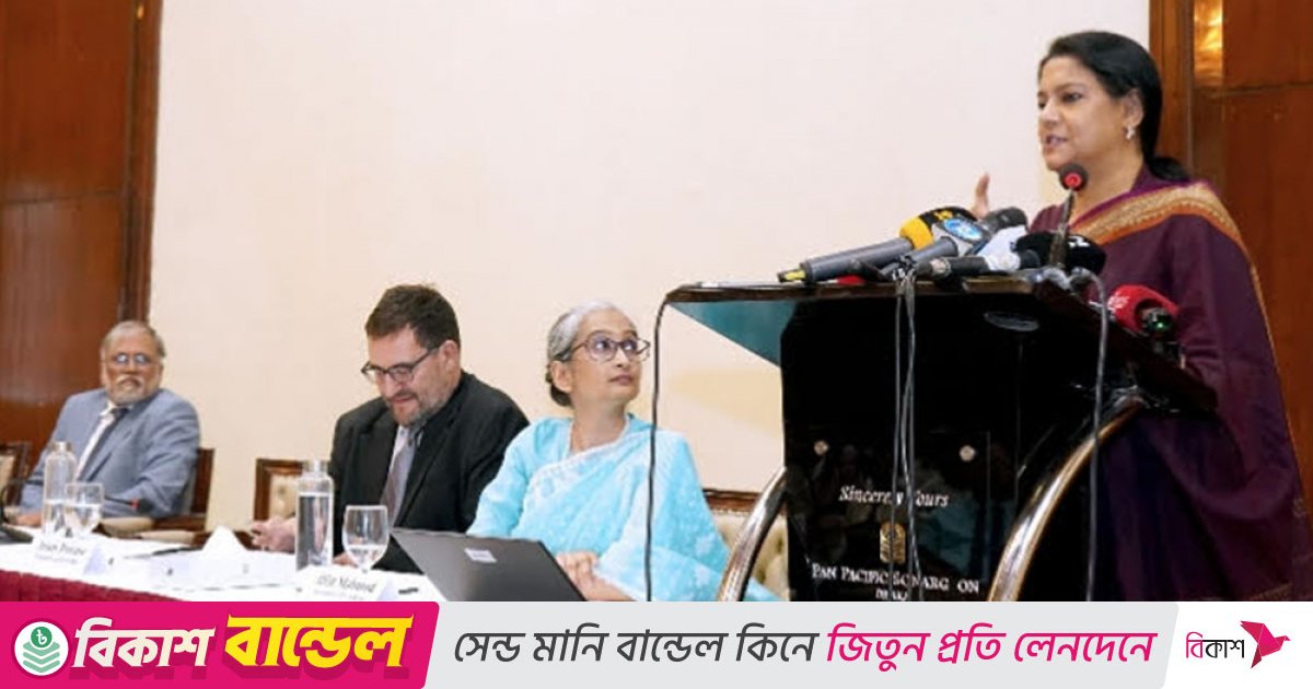 মন্ত্রী-এমপিদের প্লট দিতে গিয়ে রাজউক ক্ষতি করে ফেলেছে: পরিবেশ উপদেষ্টা