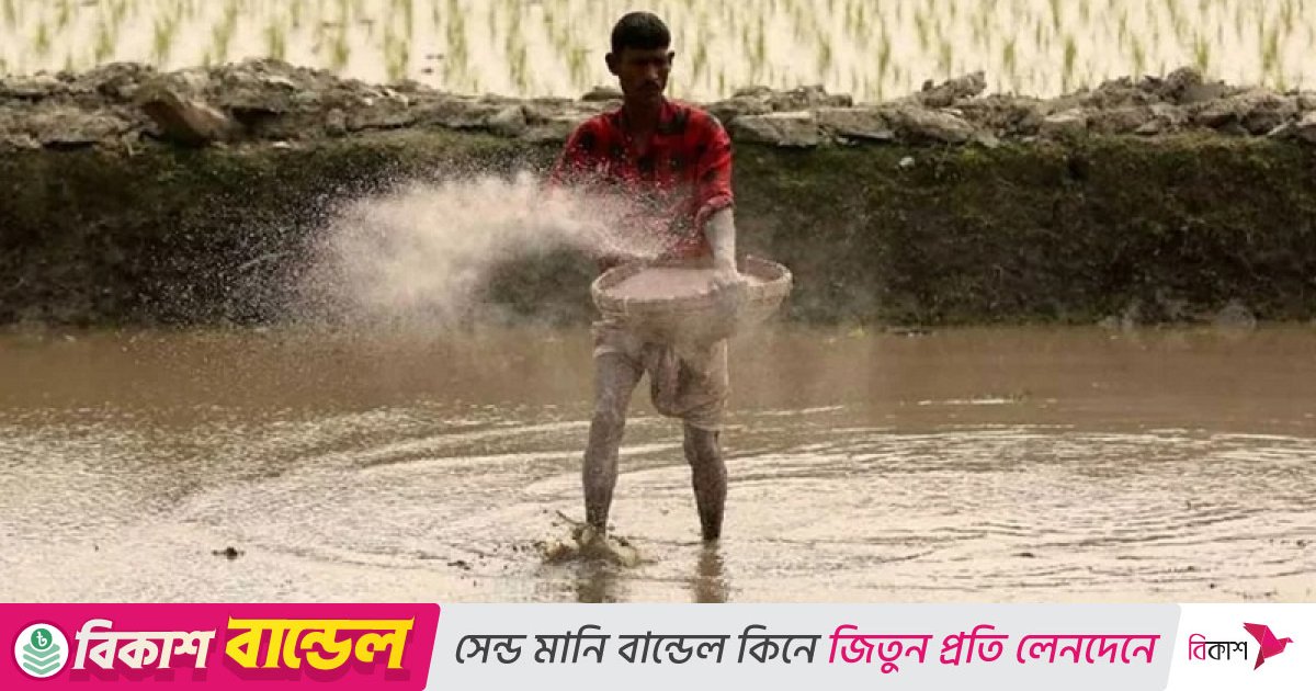 ৪৭২ কোটি টাকায় ৯৫ হাজার টন সার কিনবে সরকার
