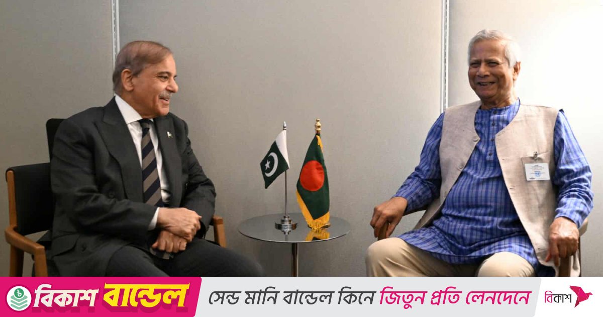 প্রধান উপদেষ্টার সঙ্গে পাকিস্তানের প্রধানমন্ত্রীর বৈঠক