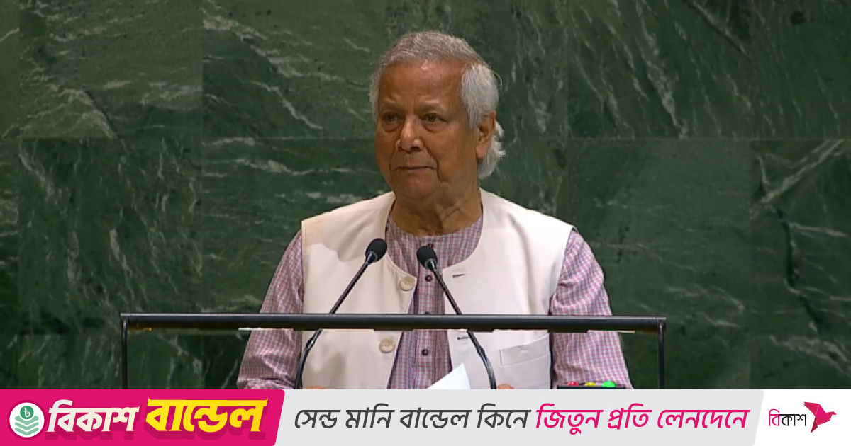 বাংলাদেশ রোহিঙ্গা সংকটের ভুক্তভোগী: প্রধান উপদেষ্টা