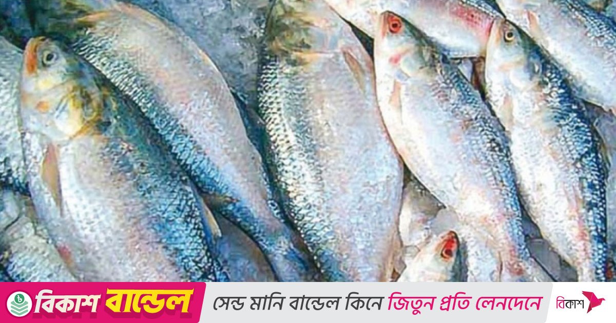 যেসব কারণে বাড়ে ইলিশের দাম