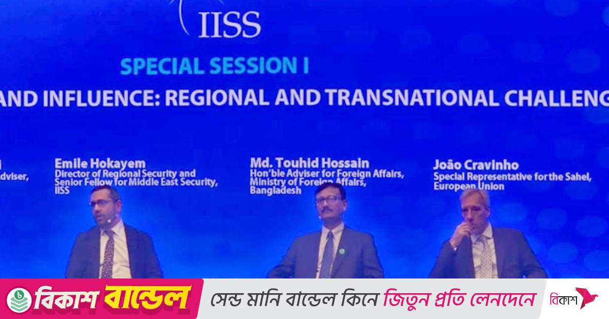 দেশে কোনও সশস্ত্র গোষ্ঠীকে কার্যক্রম চালাতে দেওয়া হবে না: পররাষ্ট্র উপদেষ্টা