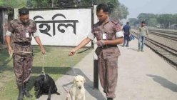 হিলি সীমান্ত (ফাইল ফটো)