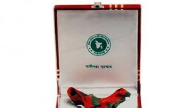 ৪৬ বছরে স্বাধীনতা পদক পেয়েছেন ২৯ নারী