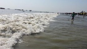 কুয়াকাটা সমুদ্রসৈকতে আবারও ভেসে এলো মৃত ডলফিন