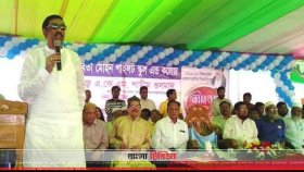 দেশের বিরুদ্ধে একটা পক্ষ খেলা শুরু করেছে: শামীম ওসমান