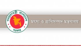 সমুদ্রে মাছ ধরায় ৫৮ দিনের নিষেধাজ্ঞা