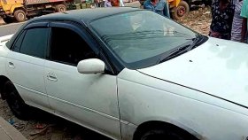 প্রাইভেটকারে করে গরুচুরি!