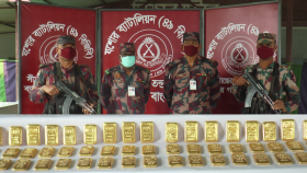যশোরের সীমান্ত থেকে ৬০টি সোনার বার উদ্ধার