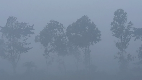 তীব্র শীতে জনজীবন বিপর্যস্ত