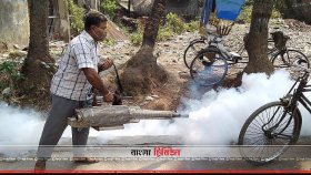 বেড়েছে মশার উপদ্রব, বিশেষ অভিযানে সিটি করপোরেশন