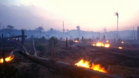 প্রকৃতি ধ্বংস না করে অর্থনৈতিক সমৃদ্ধির জন্য নতুন উপায় খোঁজার তাগিদ